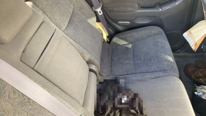 内装後方シート