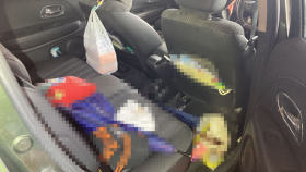 内装後方シート