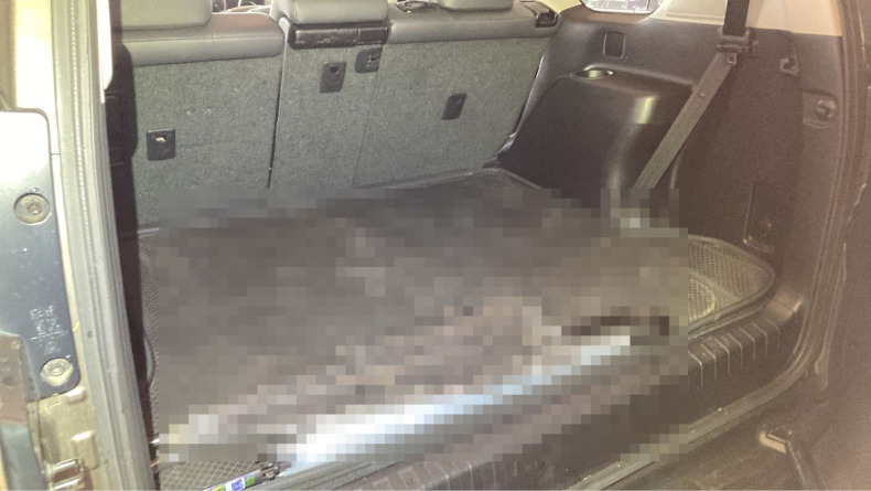 内装トランク