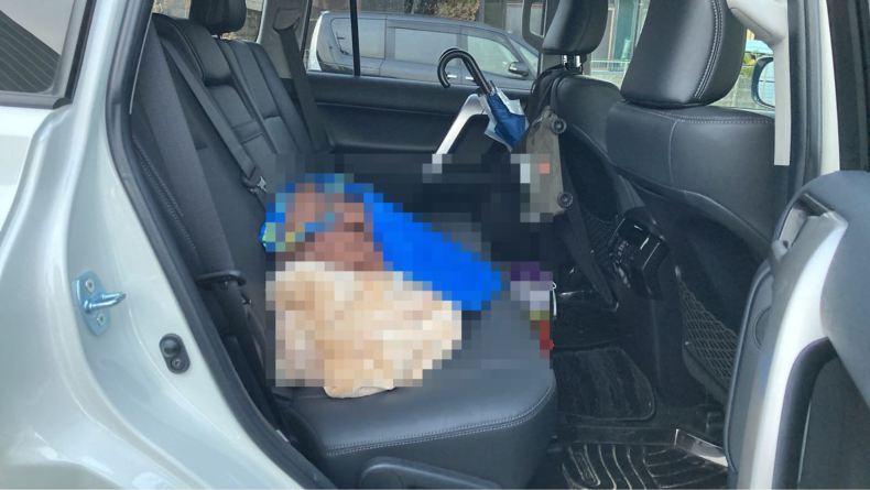 内装後方シート