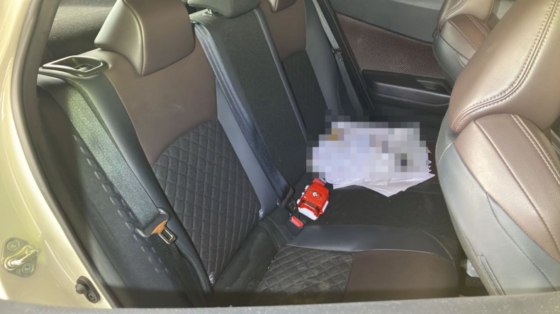 内装後方シート