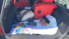 内装トランク