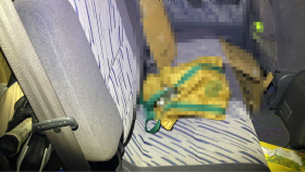 内装後方シート