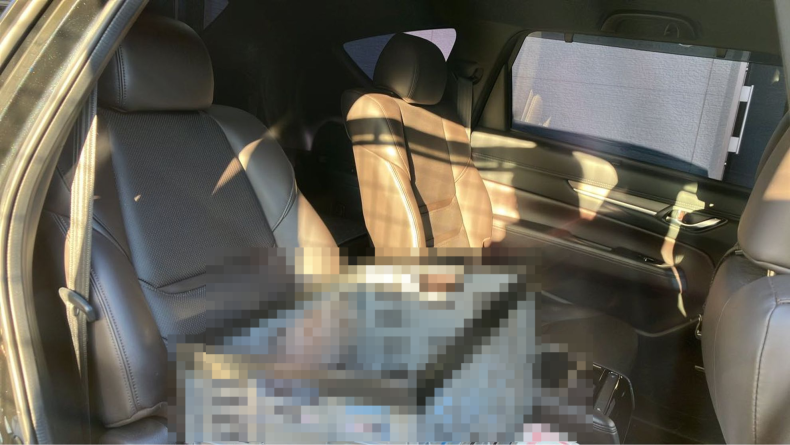 内装後方シート