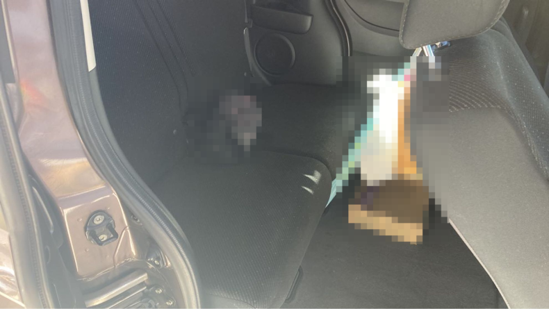 内装後方シート