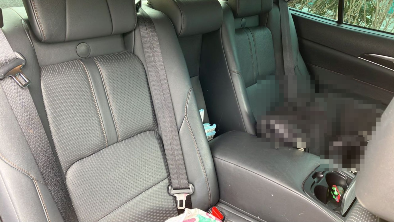 内装後方シート