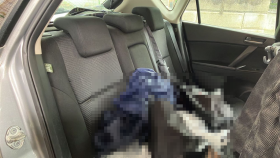 内装後方シート