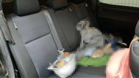 内装後方シート