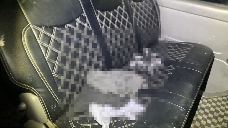 内装後方シート