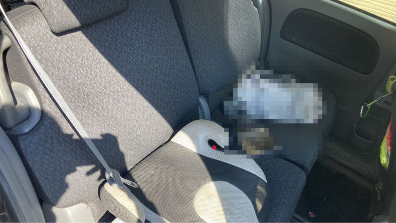 内装後方シート