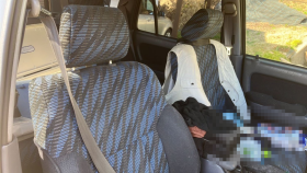 内装前方シート