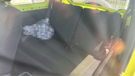 内装後方シート