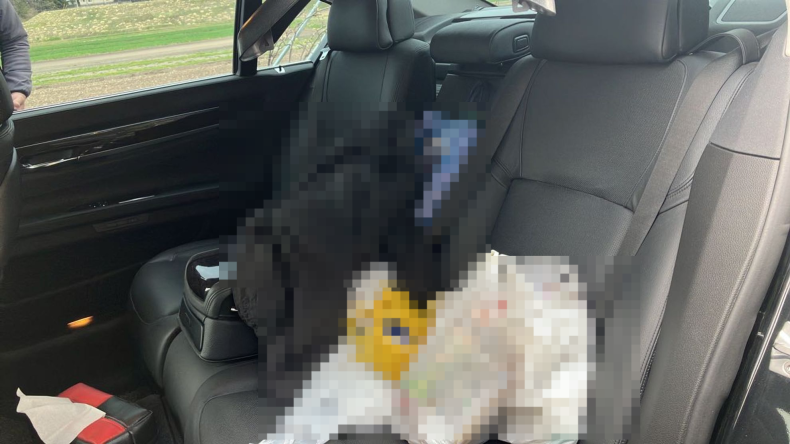 内装後方シート