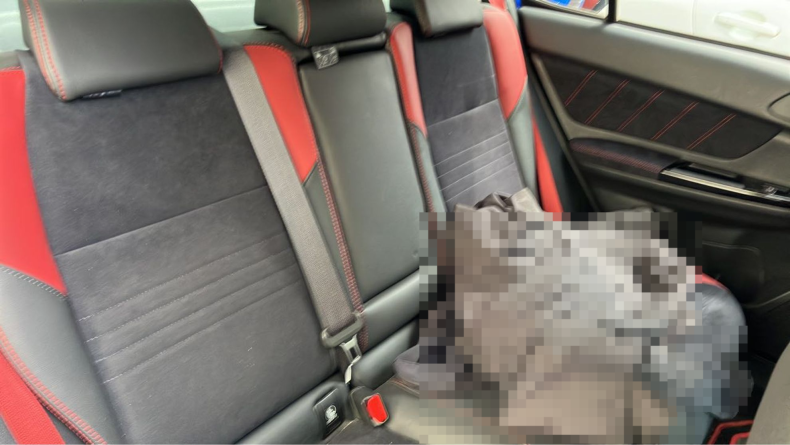 内装後方シート