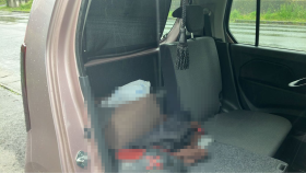 内装後方シート