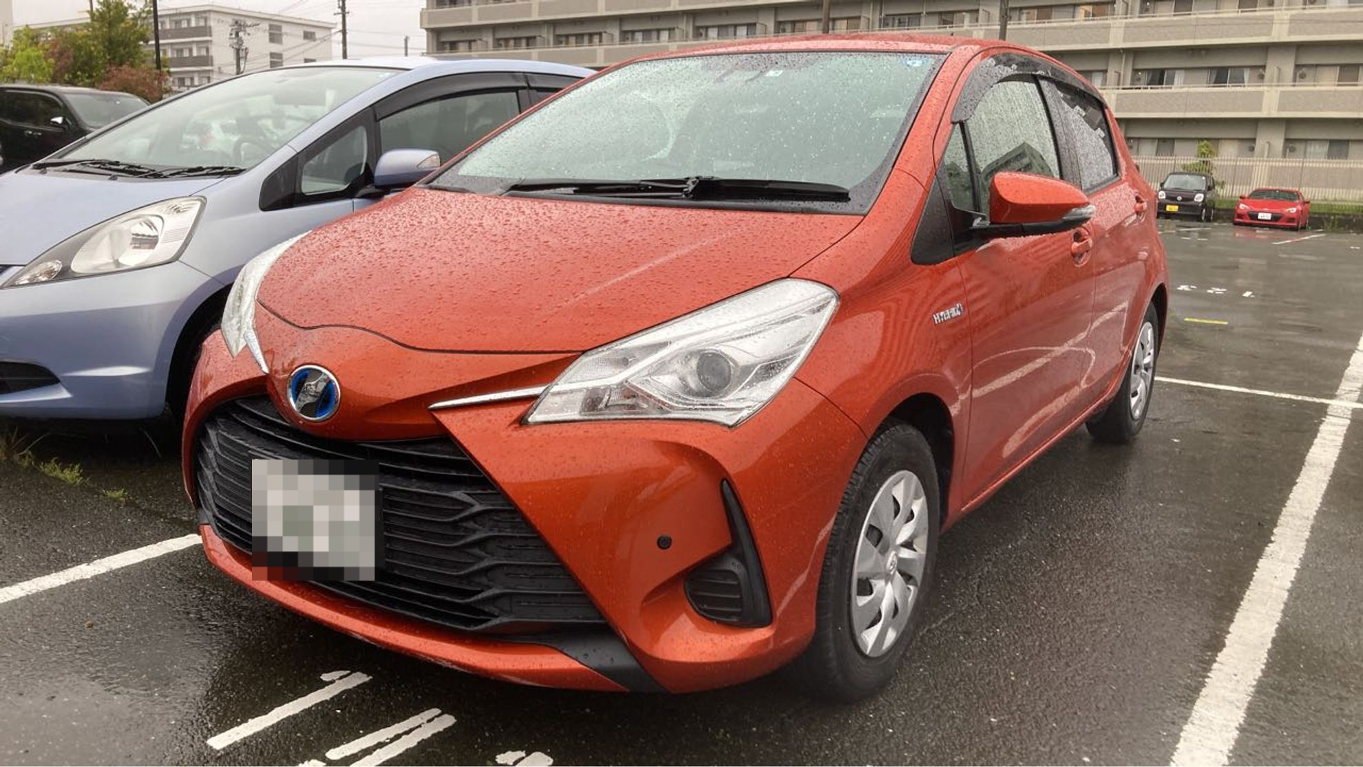 2023年5月成約のヴィッツ ハイブリッドＦのメイン画像