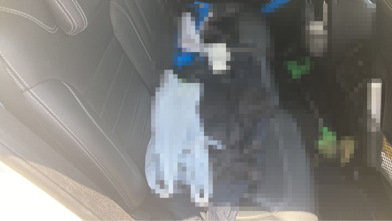 内装後方シート