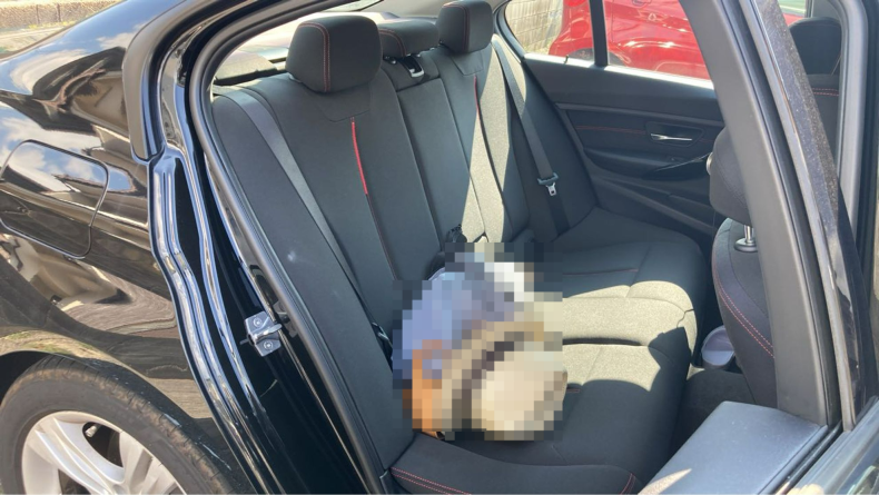 内装後方シート