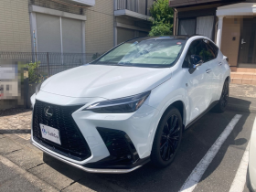 レクサス/ＮＸ-193915