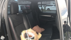 内装後方シート