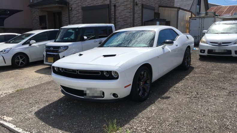 ダッジ ダッジ・チャレンジャーの売買実績画像