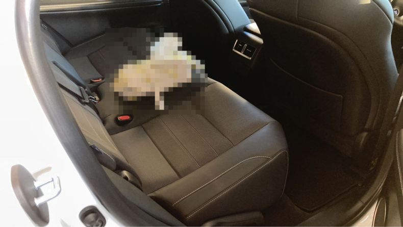 内装後方シート