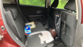 内装後方シート