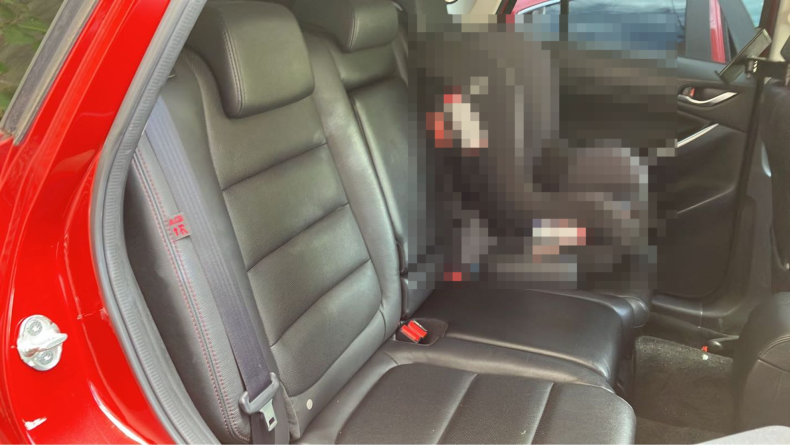 内装後方シート