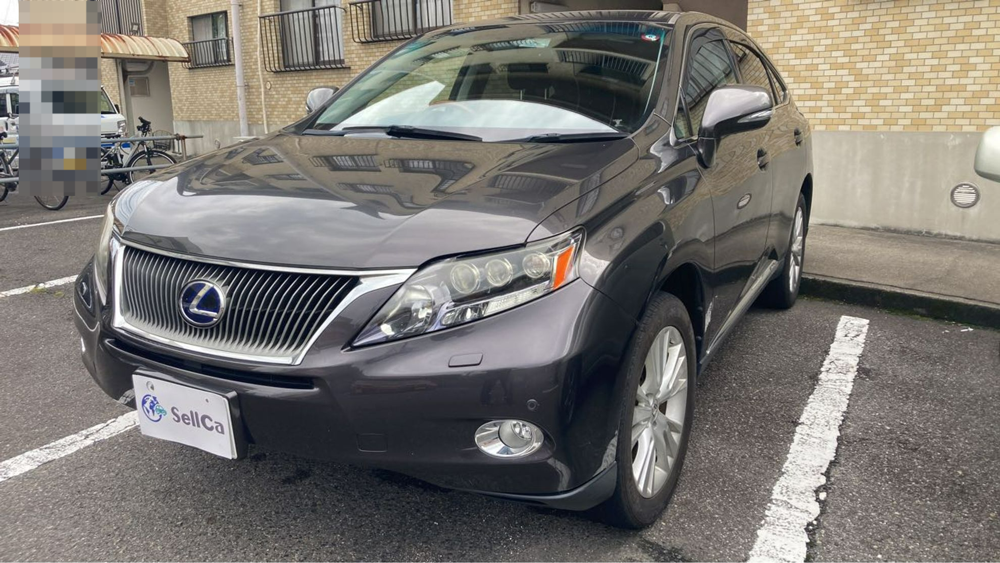 2023年9月成約のＲＸ ＲＸ４５０ｈ バージョンＬのメイン画像