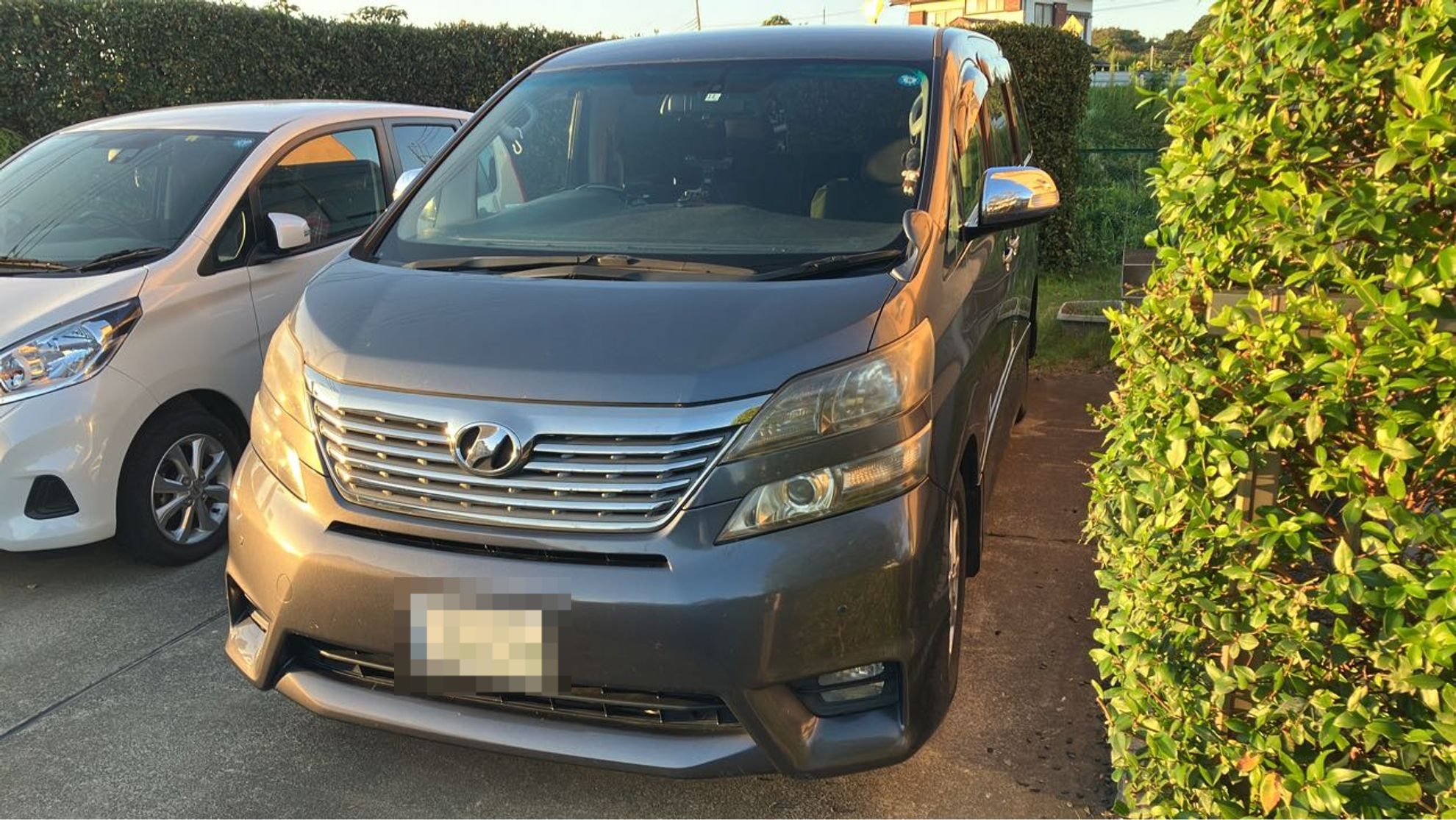 2023年9月成約のヴェルファイア ２．４Ｚ プラチナセレクションⅡ タイプゴールドのメイン画像