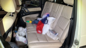 内装後方シート