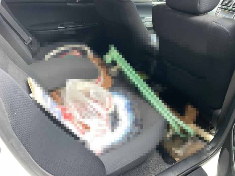 内装後方シート