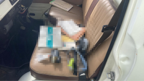 内装後方シート