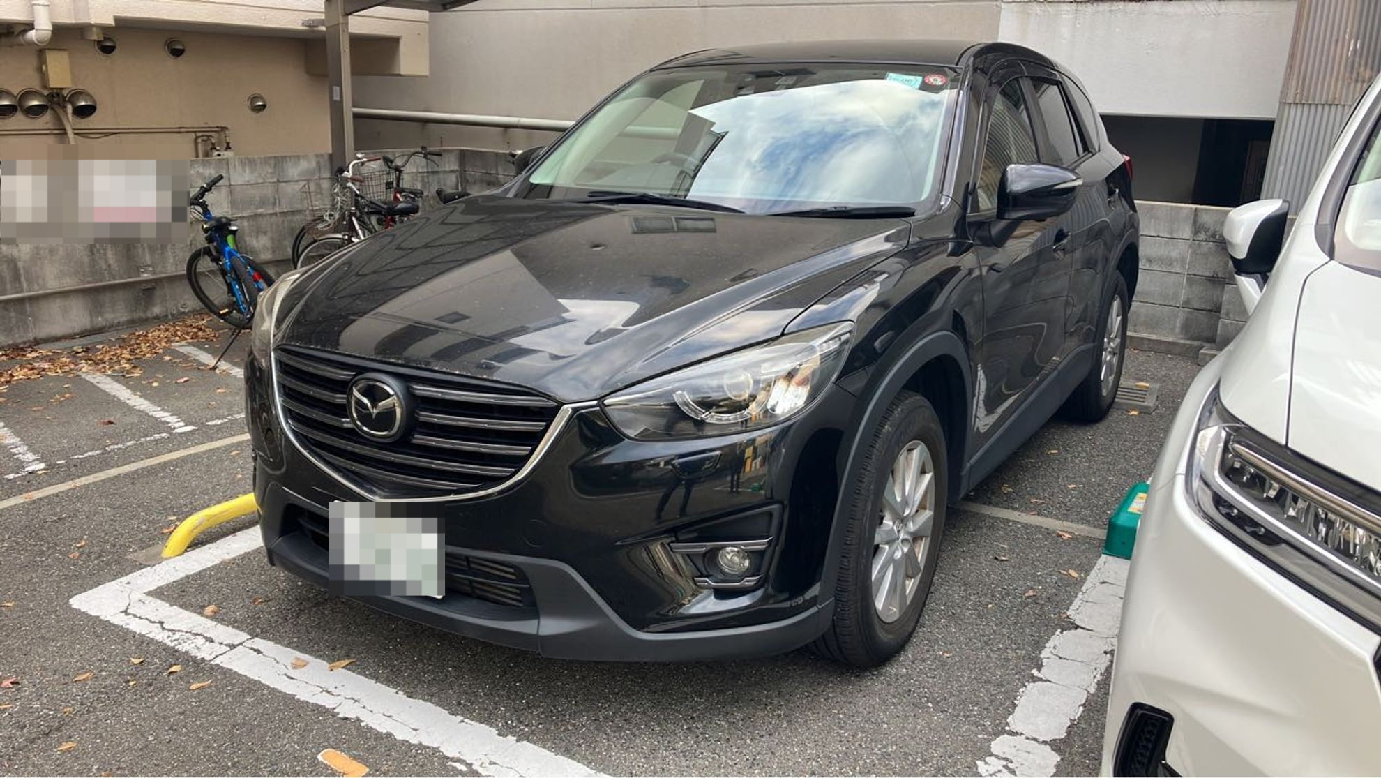 2023年12月成約のCX-5 XD プロアクティブのメイン画像