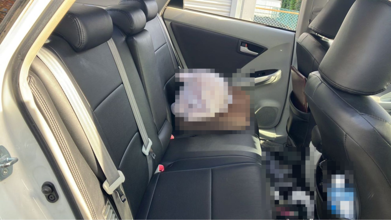 内装後方シート