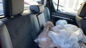 内装後方シート