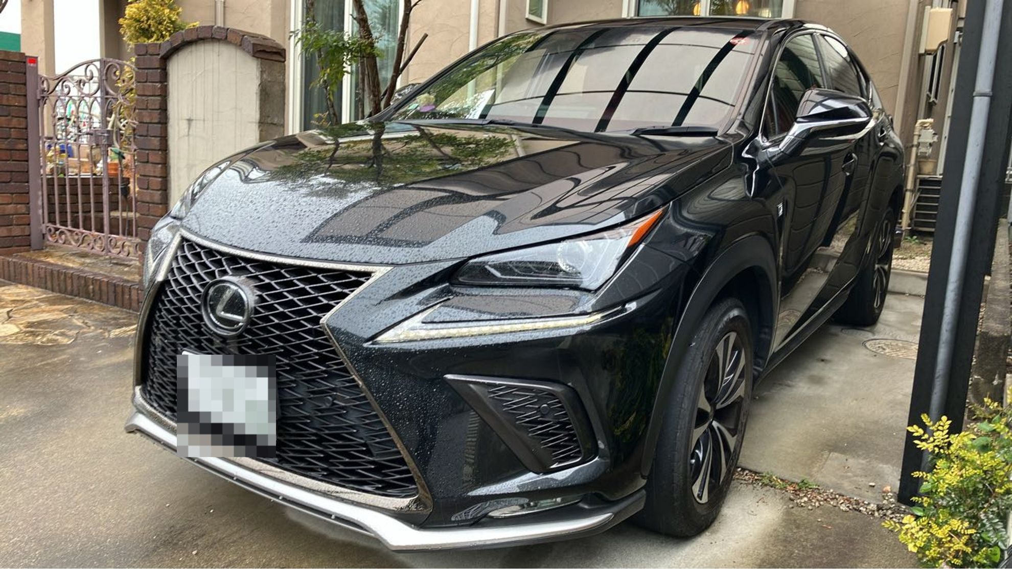 2024年1月成約のＮＸ ＮＸ３００ Ｆスポーツのメイン画像