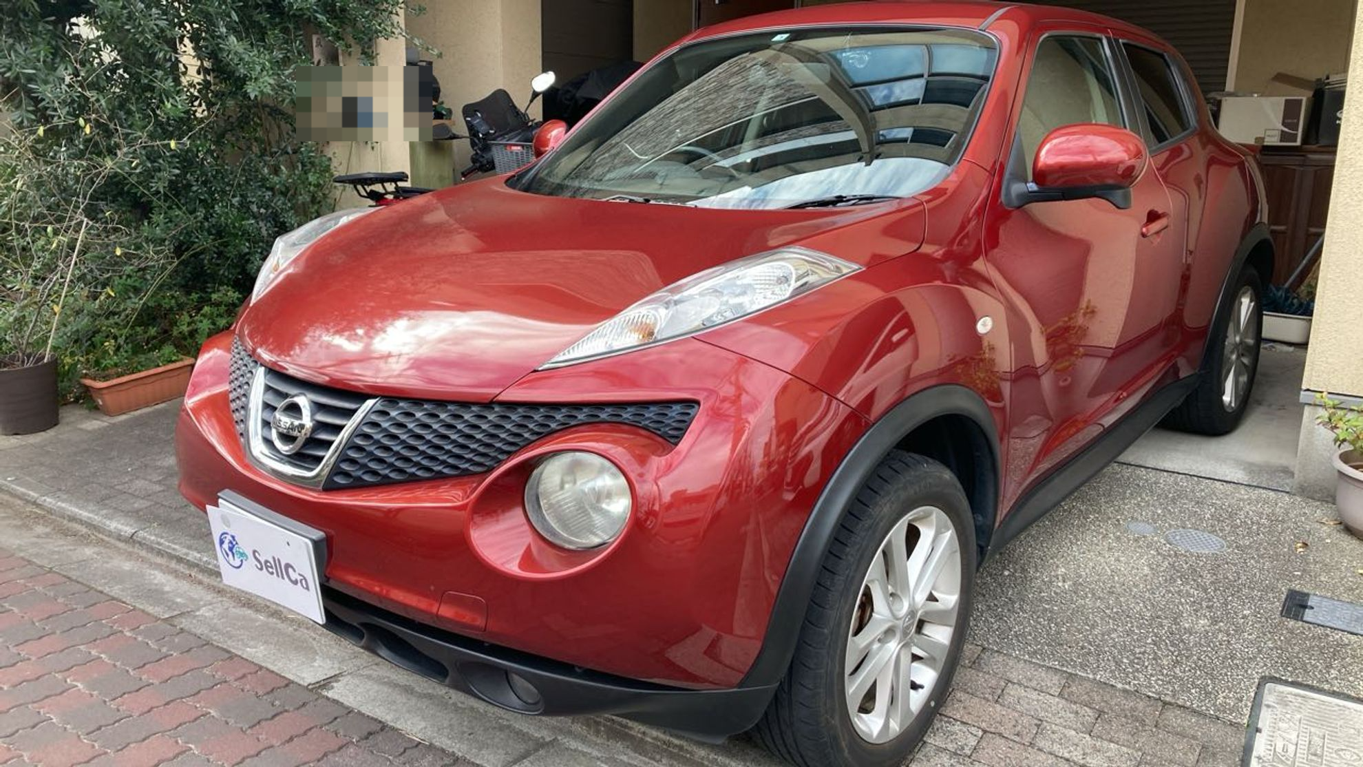 2024年1月成約のジューク １５ＲＸ タイプＶのメイン画像