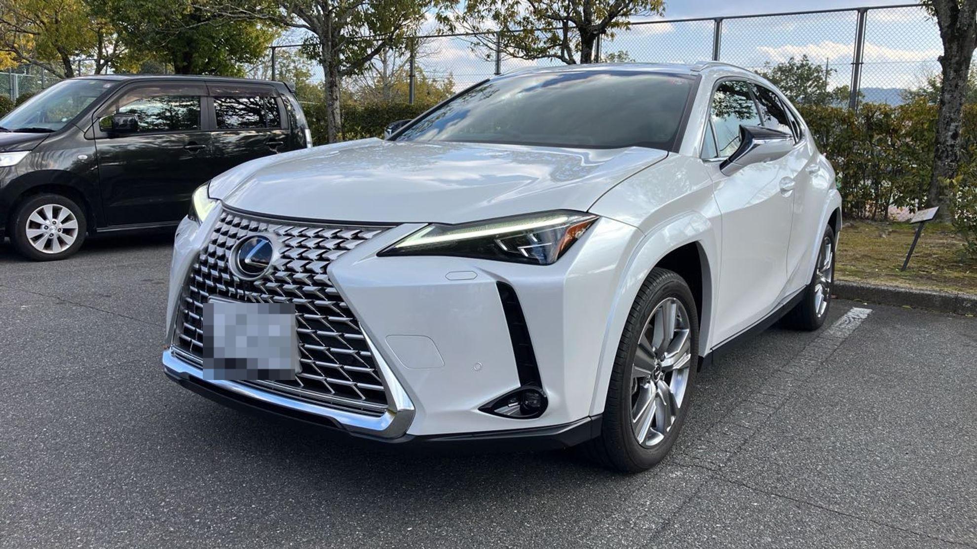 2024年3月成約のＵＸ ＵＸ２５０ｈ グレイスフル エクスプローラーのメイン画像