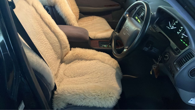 内装前方シート