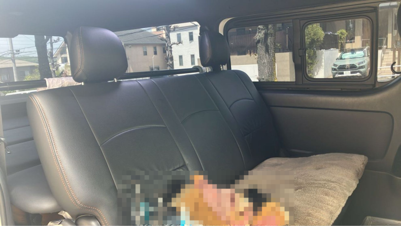 内装後方シート