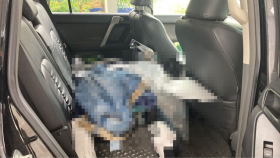 内装後方シート