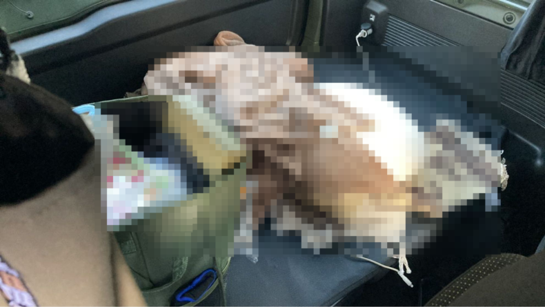 内装後方シート