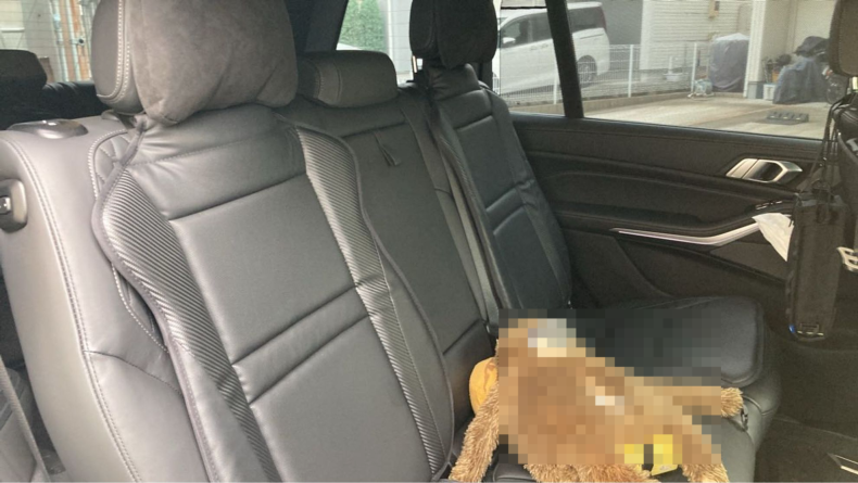 内装後方シート