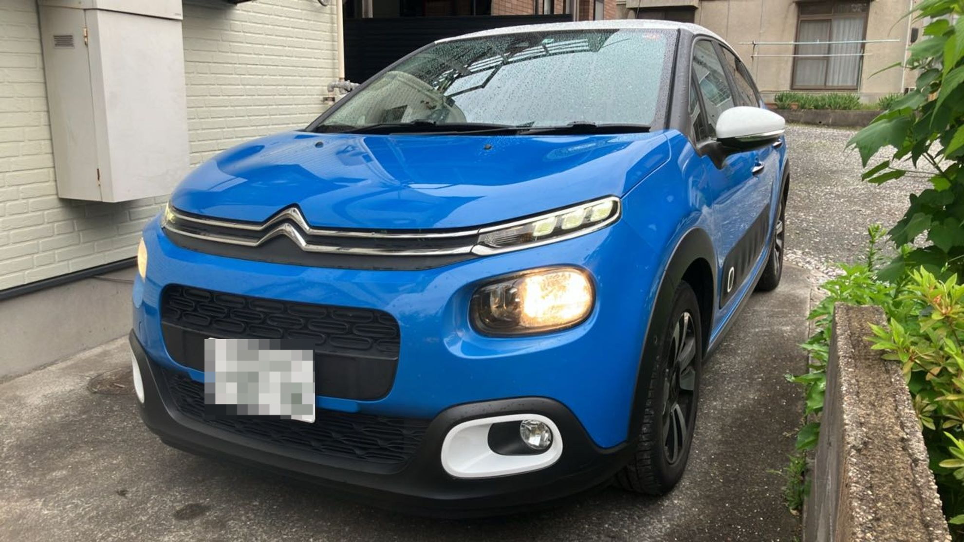 2024年6月成約のＣ３ セントジェームスのメイン画像