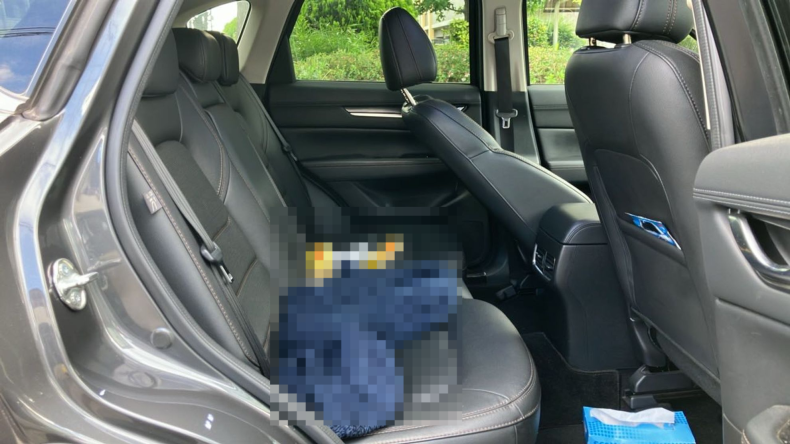 内装後方シート