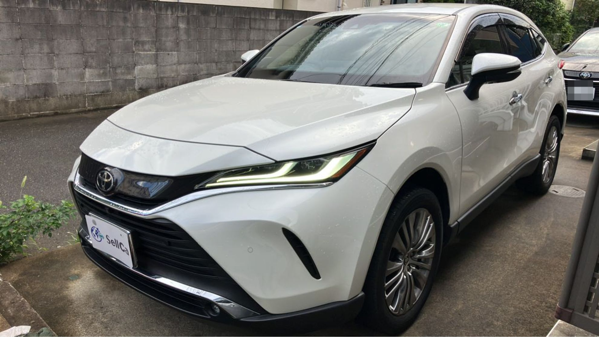 2024年9月成約のハリアー Ｚのメイン画像