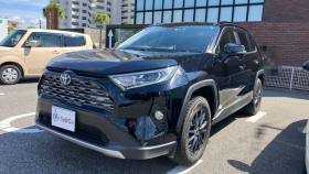 トヨタ/ＲＡＶ４-246708