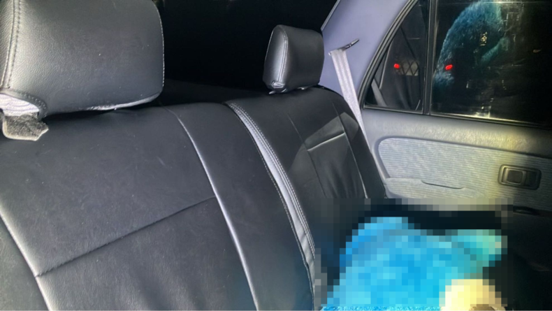 内装後方シート