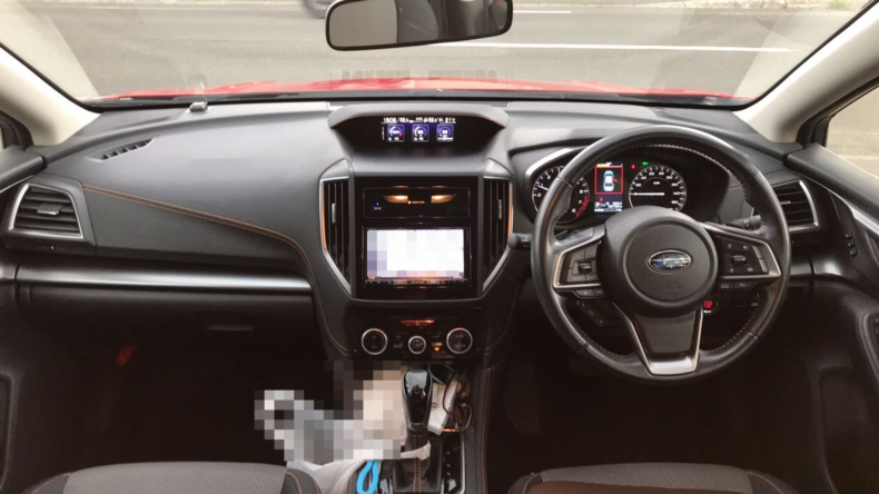 内装インパネ全体